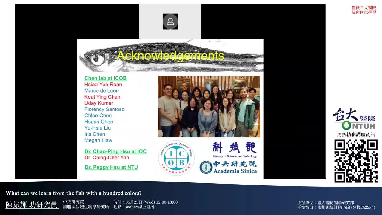 Responsive image